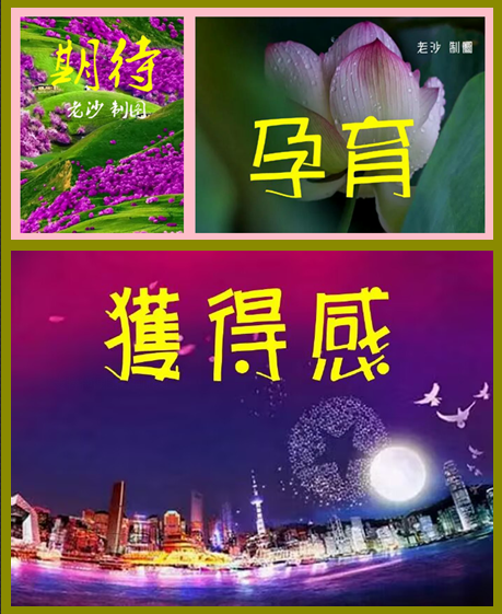 股票配资官方平台网站 5.16股市早8点丨拉抬大金融权重股是权宜之计